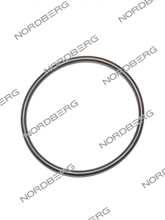 NORDBERG ЗАПЧАСТЬ ПРОКЛАДКА кольцевая D7 для N631L-3 ЦБ-00009869