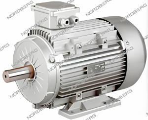 Электродвигатель 3 кВт для NCE100/520 NORDBERG NCE#motor 3 ЦБ-00000998